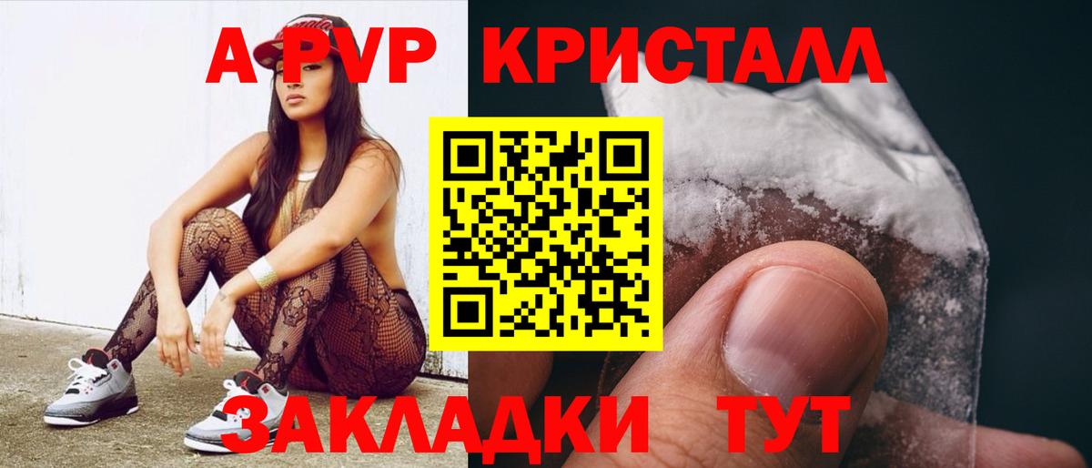 А ПВП крисы CK  Вход с VPN  Сунжа  Alfa_PVP СК 