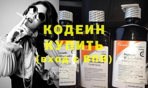 крисы Куйбышев