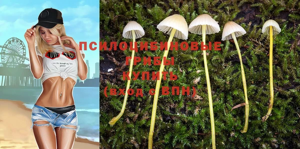 мдпв Белокуриха