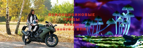 крисы Куйбышев