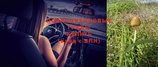 ешки Кукмор