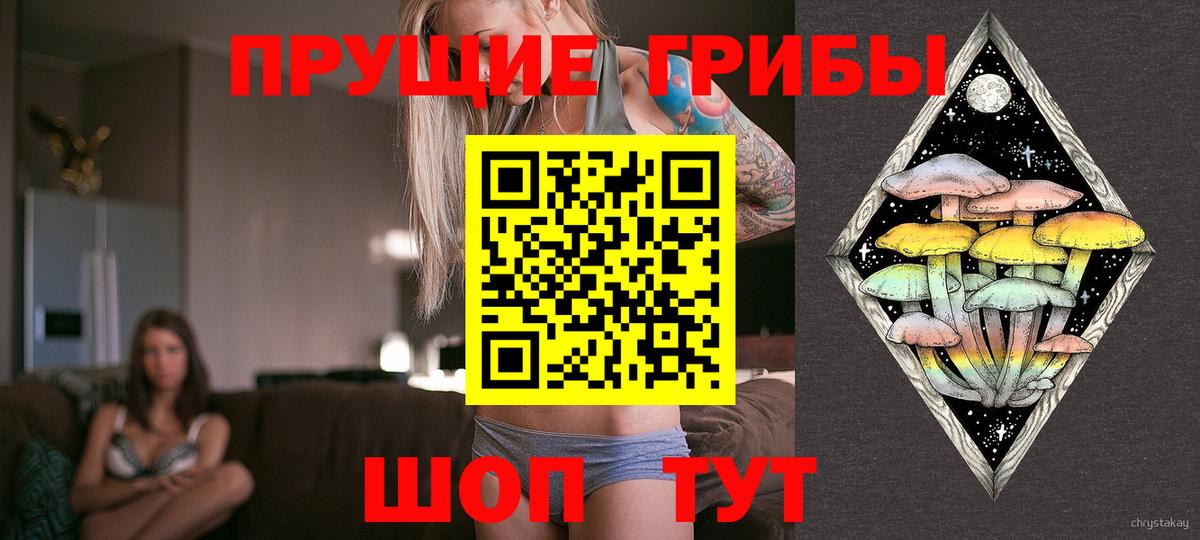 Сунжа  Галлюциногенные грибы мухоморы  Галлюциногенные грибы Magic Shrooms  Вход с VPN 
